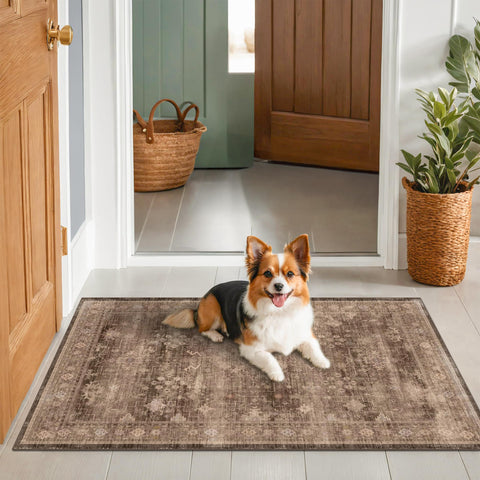 Hazo Haus easy-care rug for roll-out and machine wash routines
