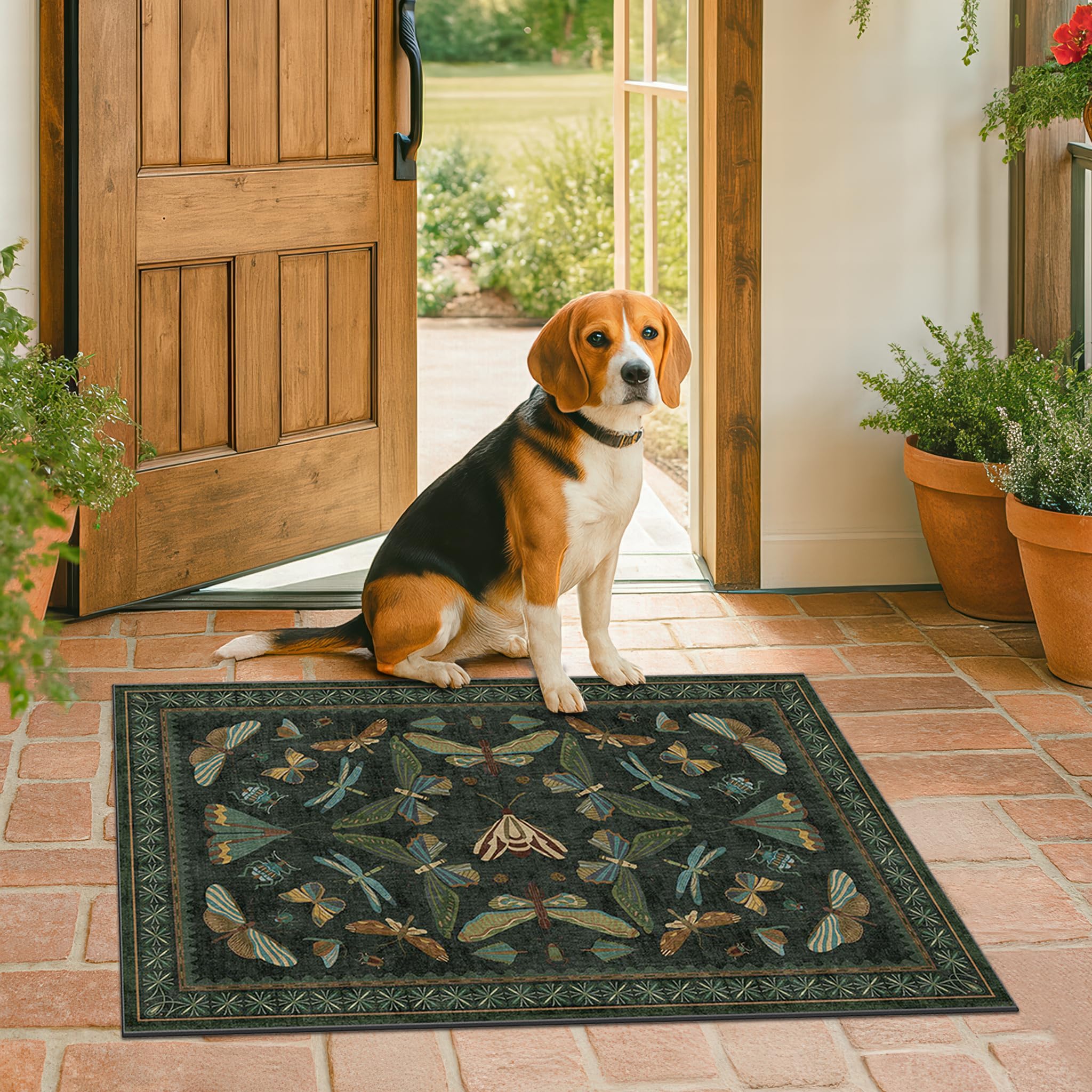 Hazo Haus boho design rug suited for entryways and living areas.