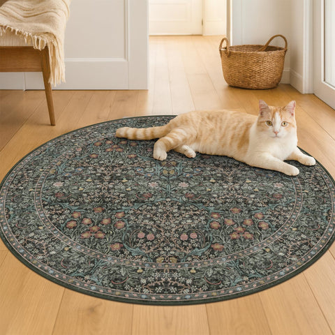 Hazo Haus vintage botanical design enhances living rooms with timeless elegance.