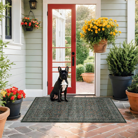 Hazo Haus low-pile rug is pet-friendly and easy to vacuum.