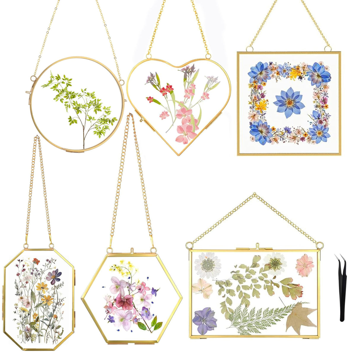 HBLEDOT square pressed flower frame showcasing dried blooms for wall decor
