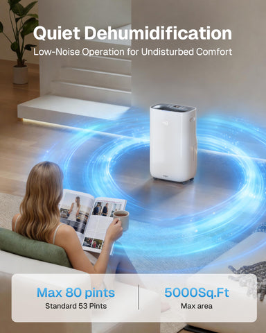 HBN dehumidifier smooth casters for easy room-to-room movement