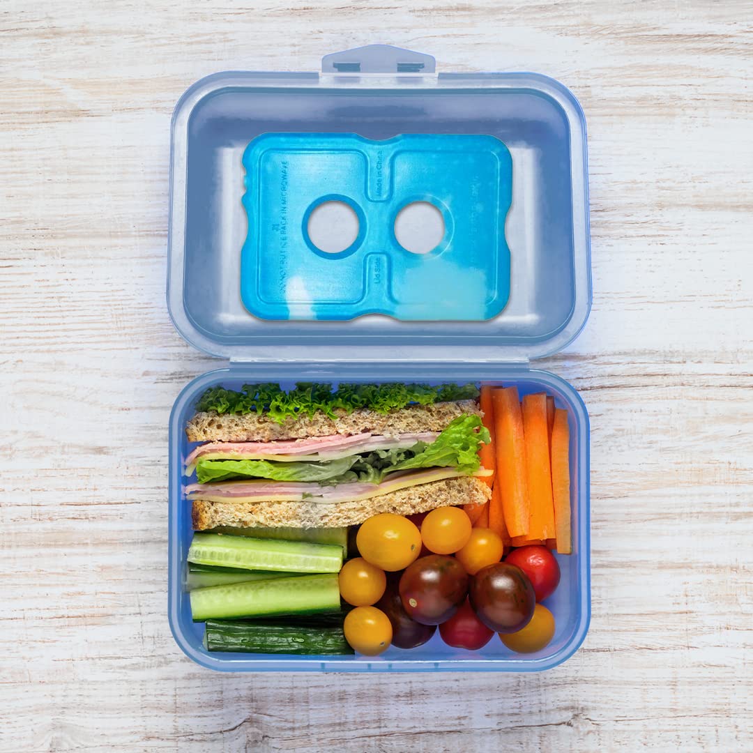 Healthy Packers TSA-ready cool pack, fully frozen for airport checks