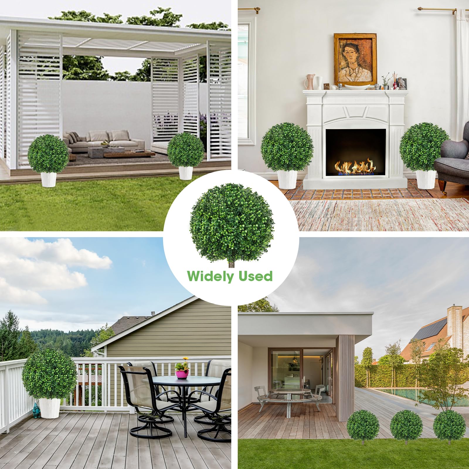 Hecaty boxwood topiary packaging box, ready-to-display two-pack.