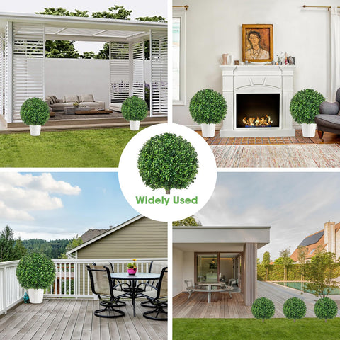 Hecaty boxwood topiary packaging box, ready-to-display two-pack.