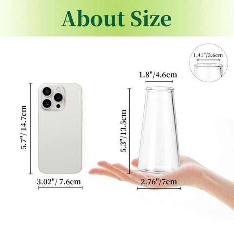 Hewory Glass Bud Vase clear glass with high clarity ideal for single stems.