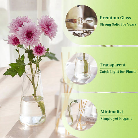 Hewory Glass Bud Vase dining room or living decor for minimalist style.