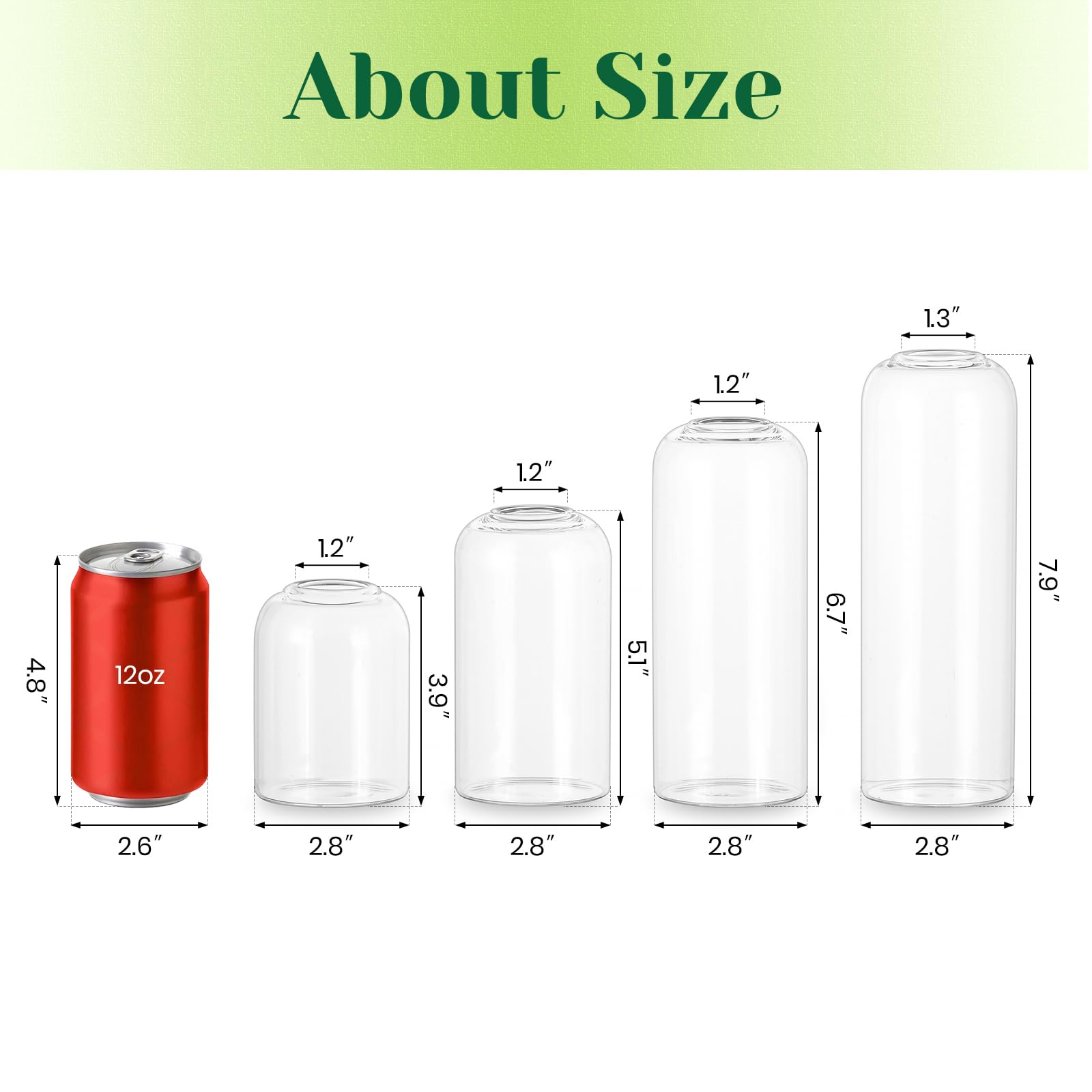 Hewory durable glass bud vase offers lasting clarity for daily display.