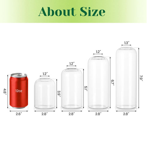 Hewory durable glass bud vase offers lasting clarity for daily display.