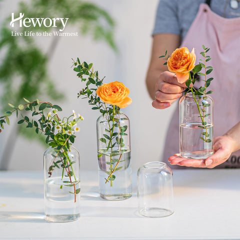 Hewory bulk vases ideal for windowsill or mantel display.