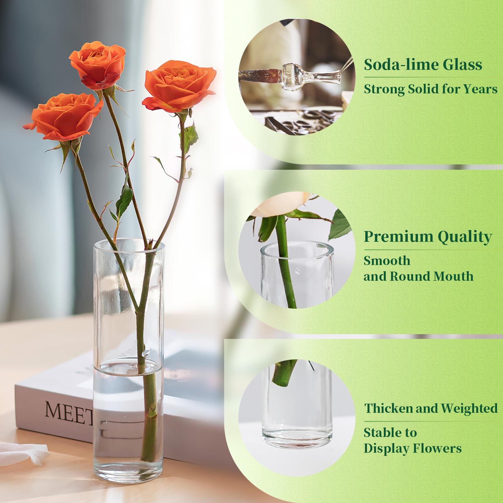 Hewory propagation vase great for plant propagation and decorative displays