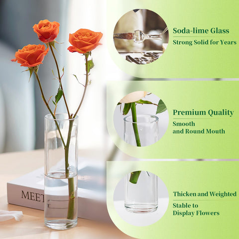 Hewory propagation vase great for plant propagation and decorative displays