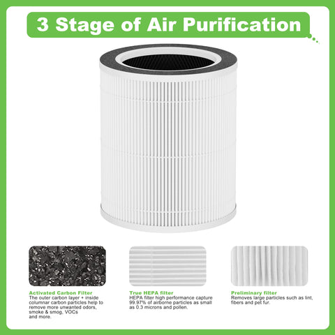 Hichoryer H13 True HEPA filter captures particles down to 0.3 microns.