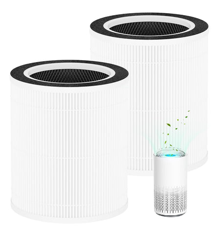Hichoryer VK-6067B filter 2-pack for quick replacement.