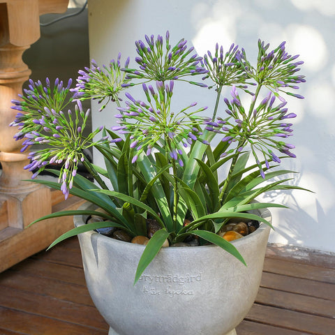 HIFORESTAR 18.9-inch stems showcase bold outdoor decor.