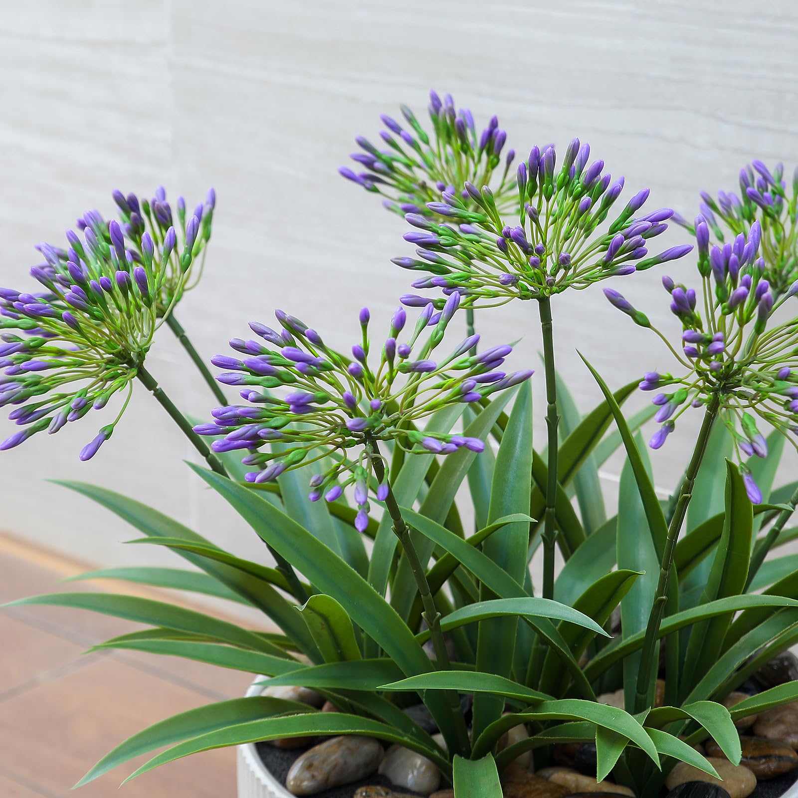 HIFORESTAR agapanthus 5-9-inch bloom heads add drama.