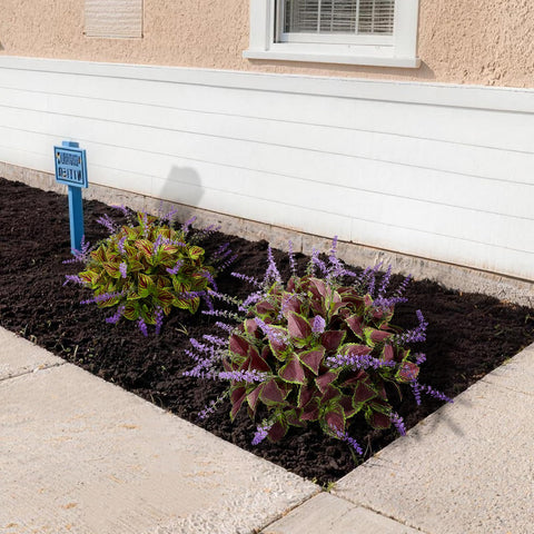 HIFORESTAR UV-resistant no-fade greenery ideal for sunlit patios and balconies.