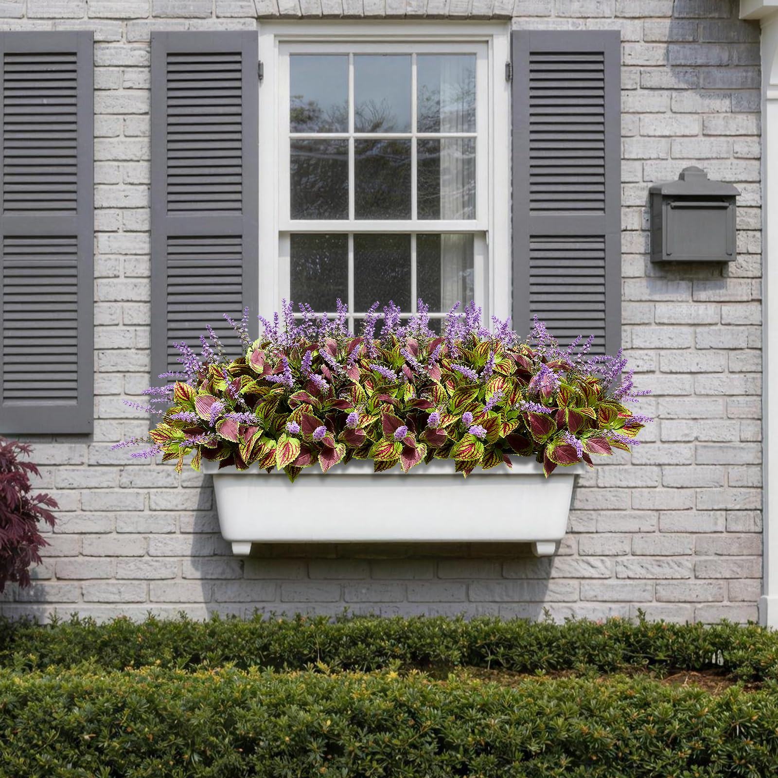 HIFORESTAR purple coleus close-up shows vivid leaves and realistic blossoms.