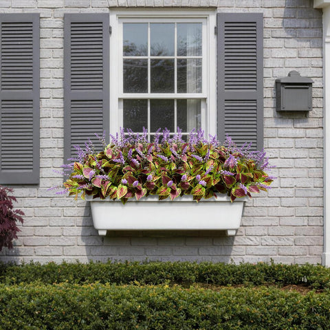 HIFORESTAR purple coleus close-up shows vivid leaves and realistic blossoms.