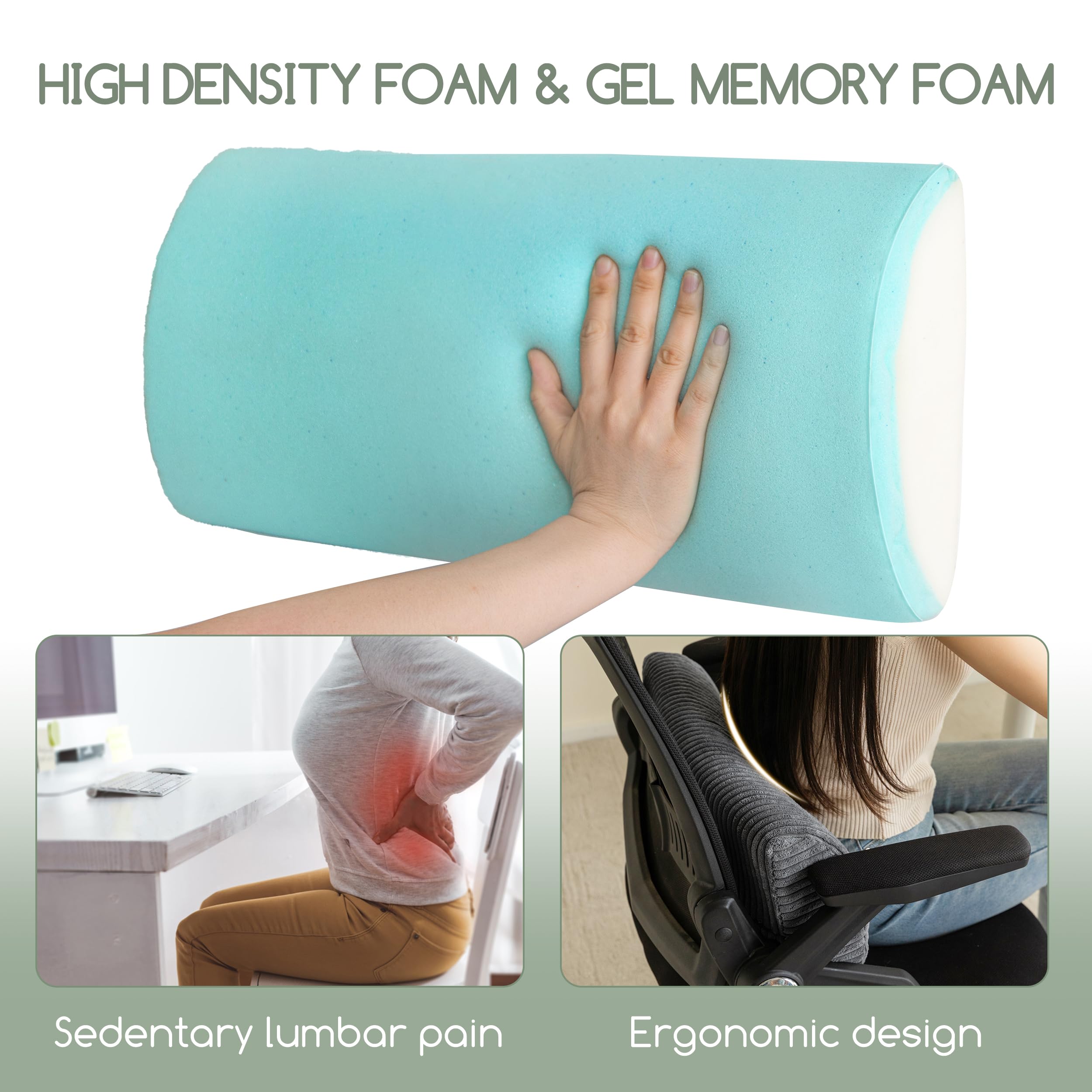 HIGOGOGO D-shaped ergonomic lumbar pillow supports natural back curve