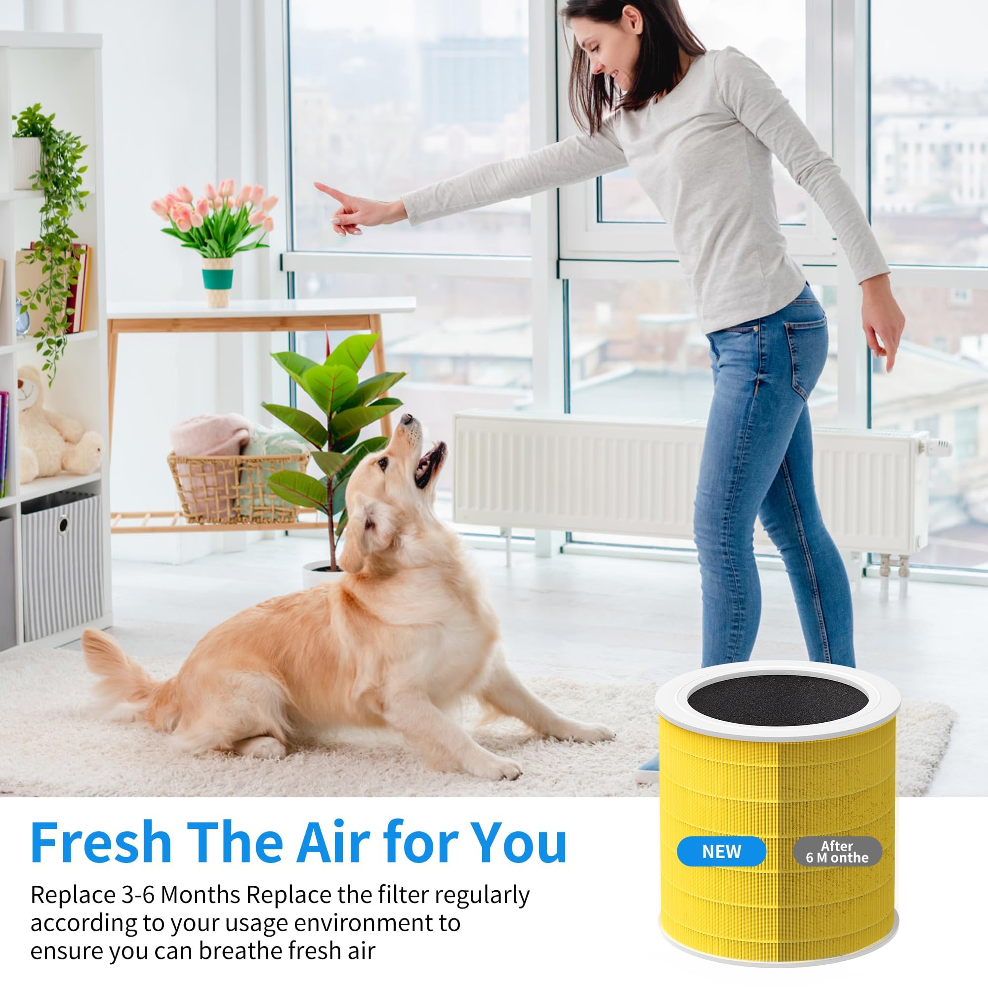 HillClean A2001 replacement filter easy to replace and maintain