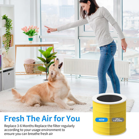 HillClean A2001 replacement filter easy to replace and maintain