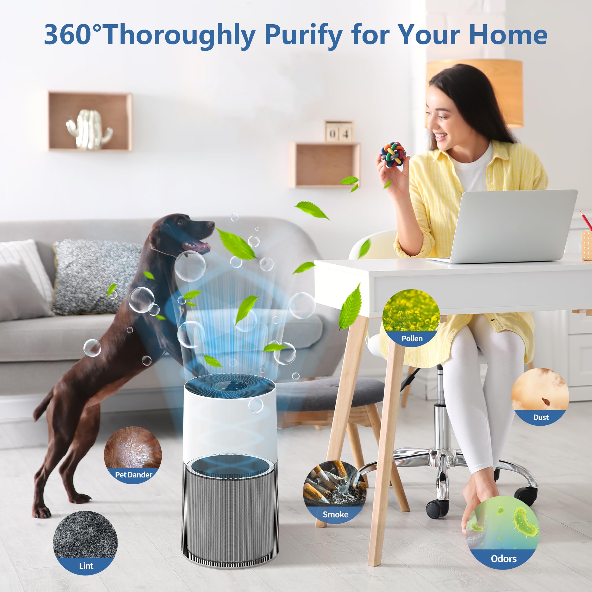 HillClean C610 filter Z assembly illustrates easy replacement process.