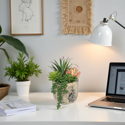 Hisow no-watering design lets you dust for a fresh look.