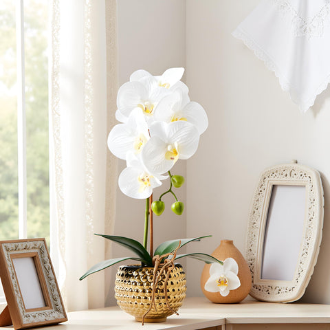 No-water care: Hisow Orchids stay fresh with easy maintenance.