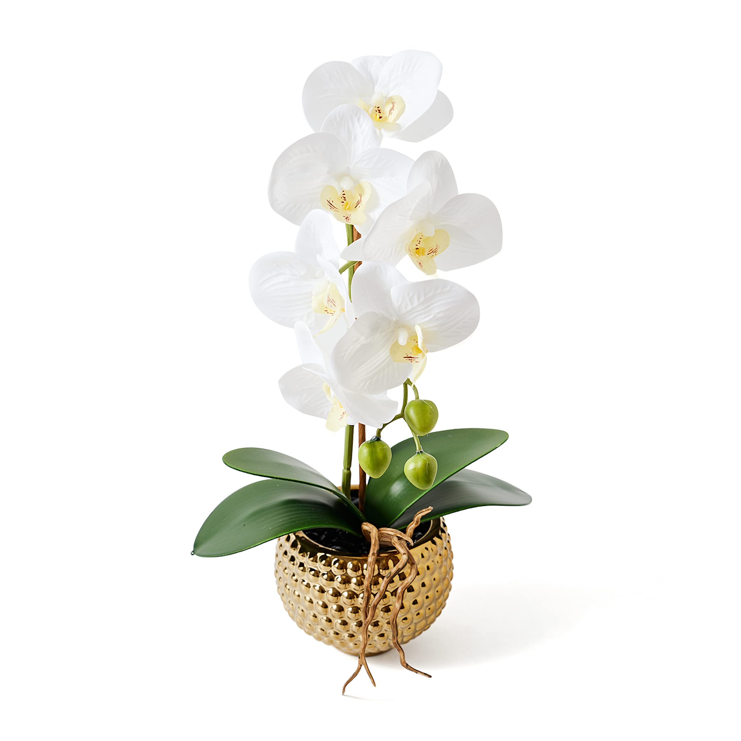 Gold ceramic pot close-up with refined finish on Hisow Orchids.