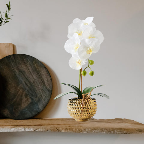 Vivid petals and real-touch texture from Hisow Orchids.
