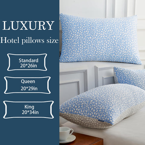 HKYLRAN set of two pillows shown in packaging reflects hotel-grade quality