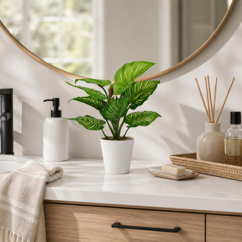 HNCSDD three-pack plant set ready for quick styling