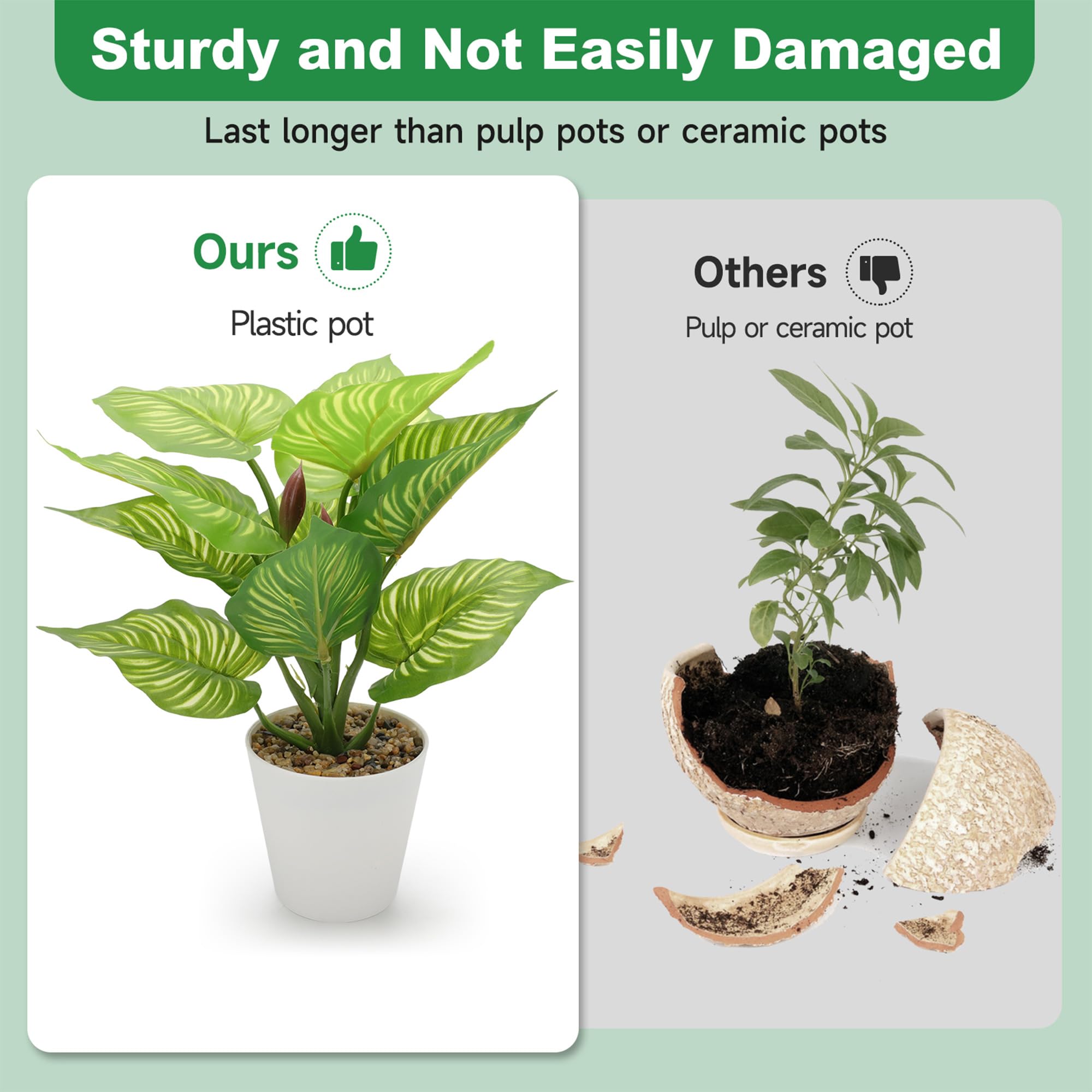 HNCSDD desktop decor setup with compact potted greenery