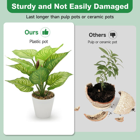 HNCSDD desktop decor setup with compact potted greenery