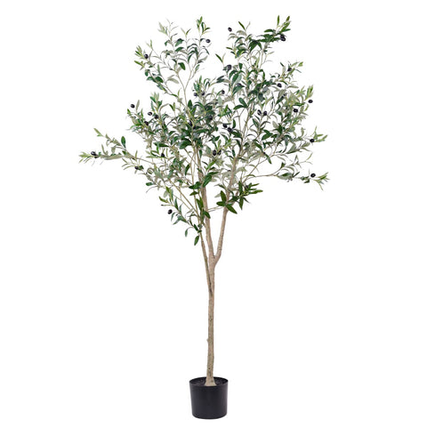 Hobyhoon artificial olive tree 6ft assembly enhances living room ambiance with realistic foliage.