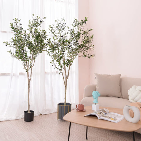 Hobyhoon dark green leaves create a calm, inviting focal point.