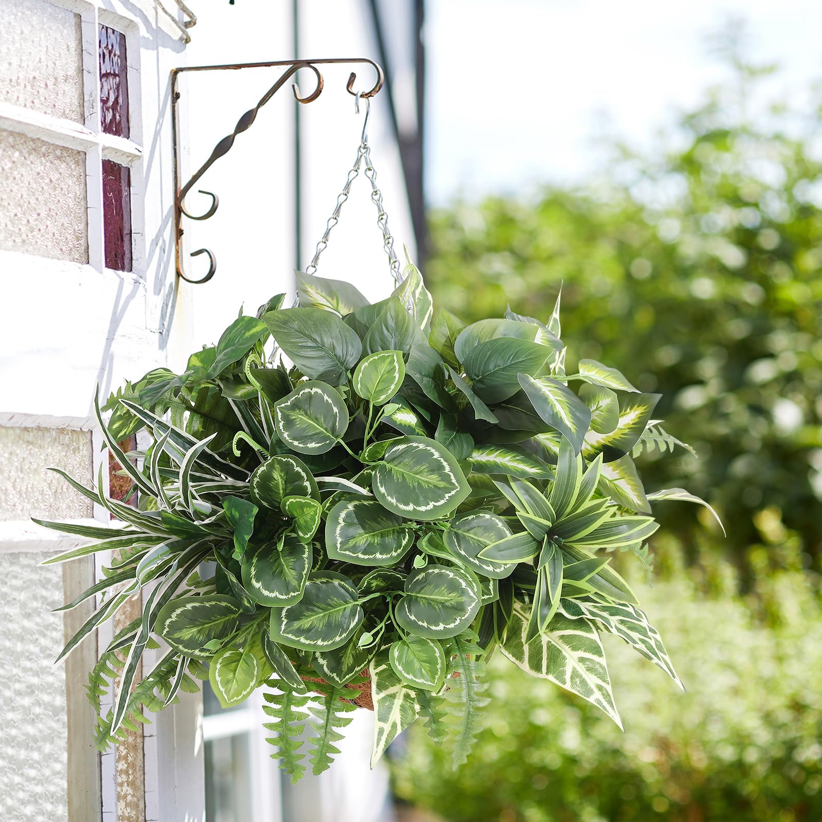 Hobyhoon easy-care outdoor plants require no watering or pruning