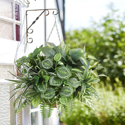 Hobyhoon easy-care outdoor plants require no watering or pruning