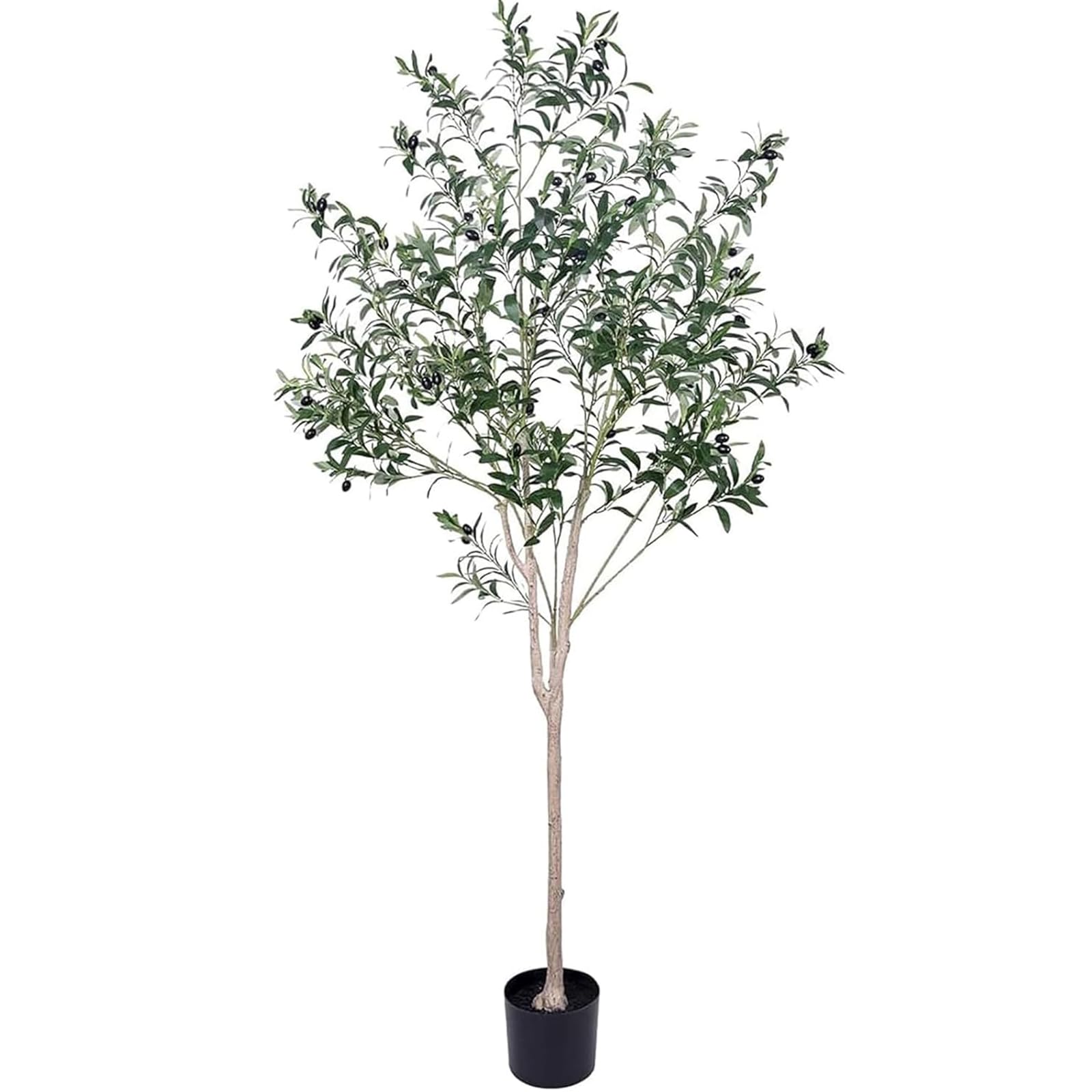Hobyhoon maintenance-free olive tree saves time on care and cleaning.