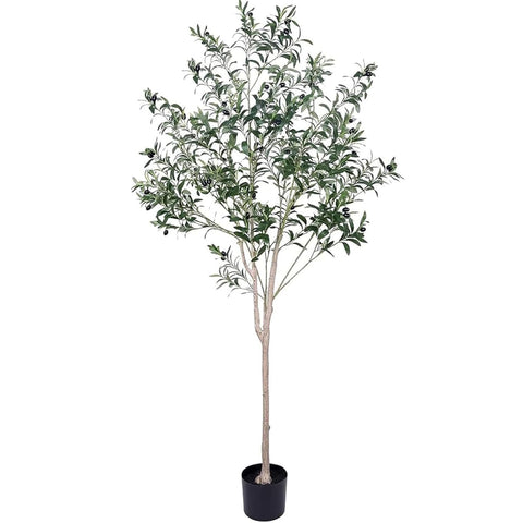Hobyhoon maintenance-free olive tree saves time on care and cleaning.