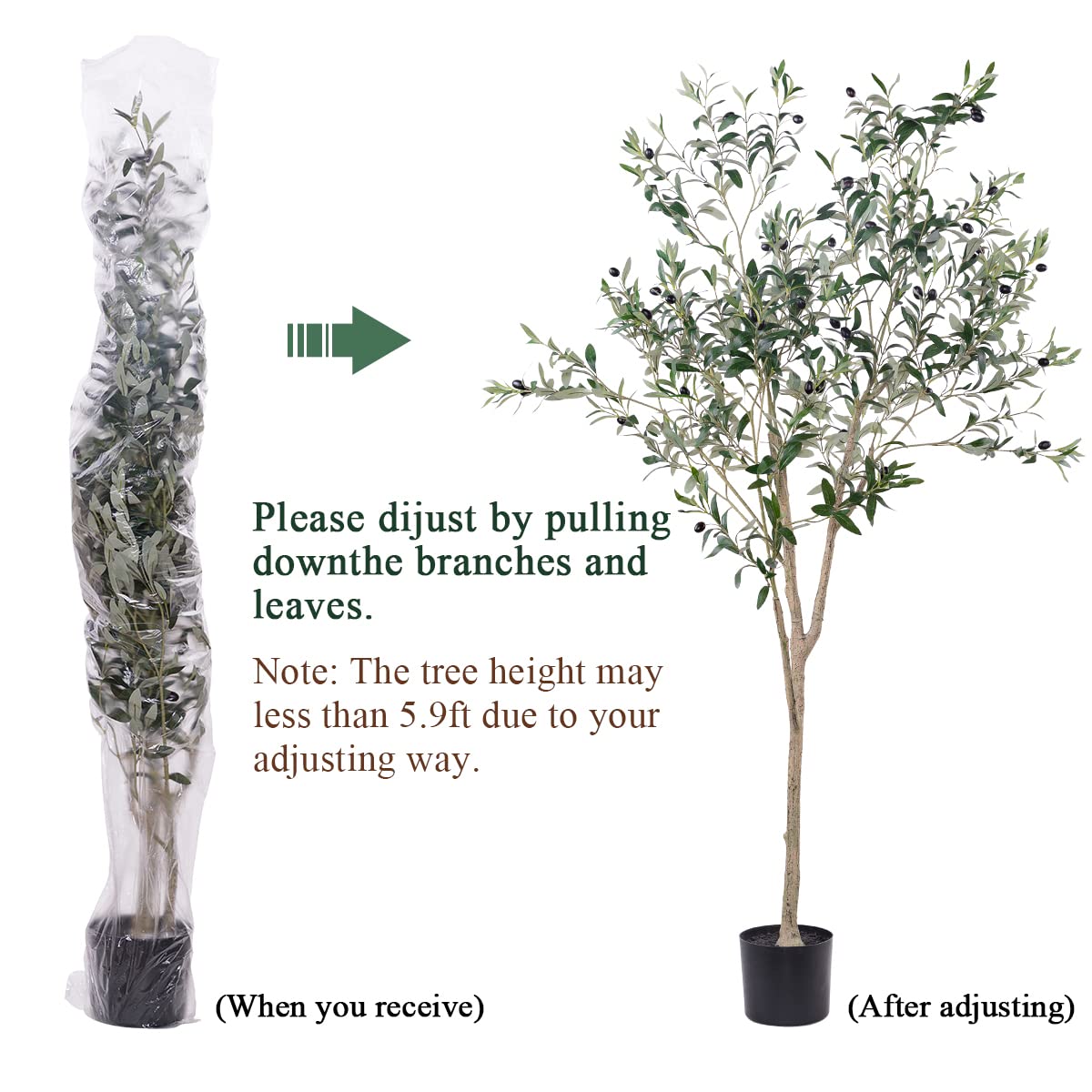 Hobyhoon potted olive tree fits modern offices and storefronts.