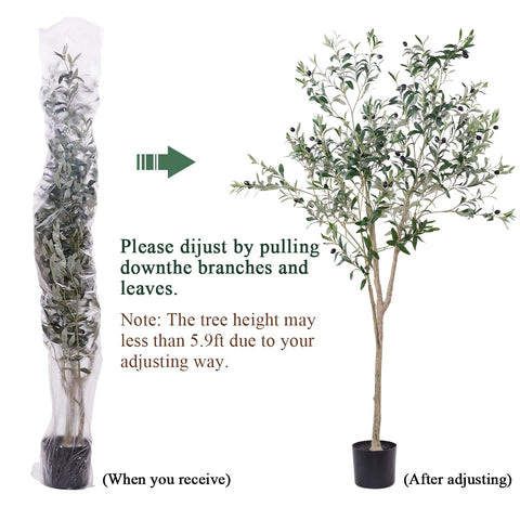 Hobyhoon potted olive tree fits modern offices and storefronts.