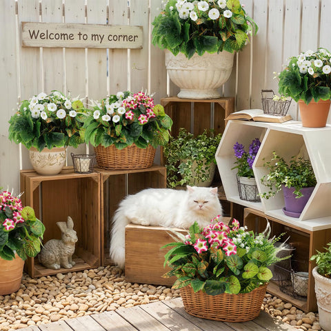 HOHOTIME Fern and grasses texture perfect for lush outdoor planters.