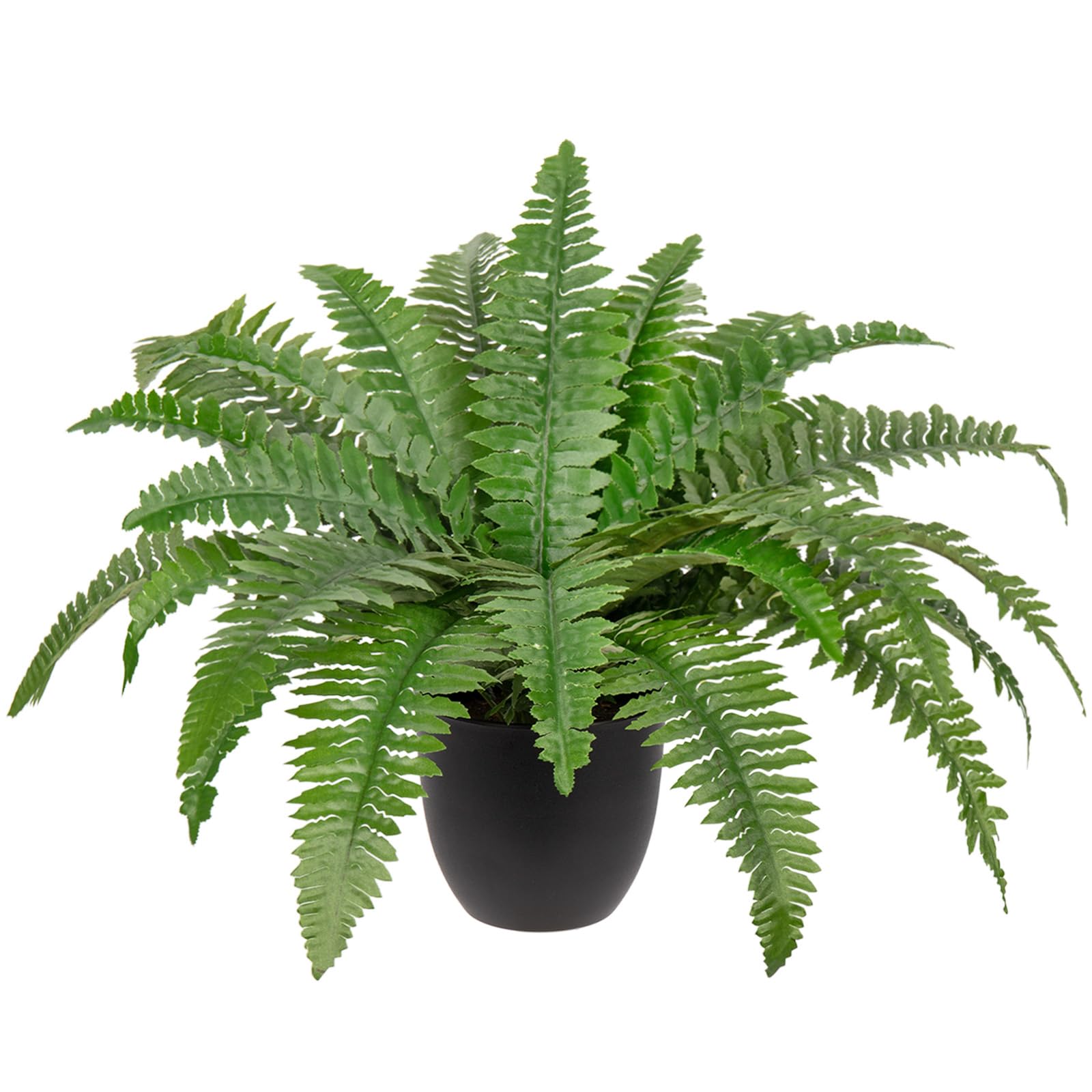 Hollyone Boston fern in pot adds realistic greenery to indoor spaces