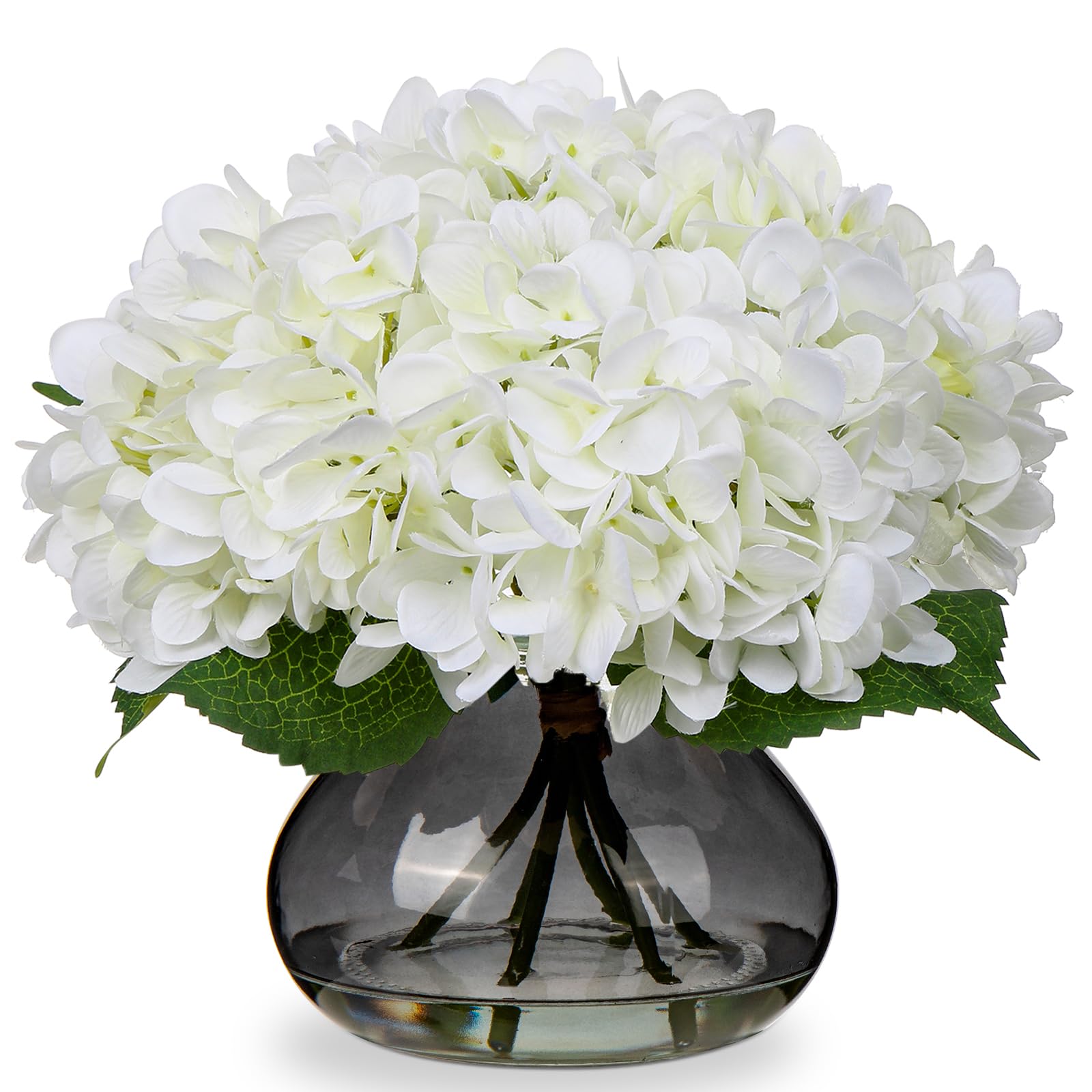 Hollyone hydrangea flowers in glass vase for elegant, maintenance-free home decor