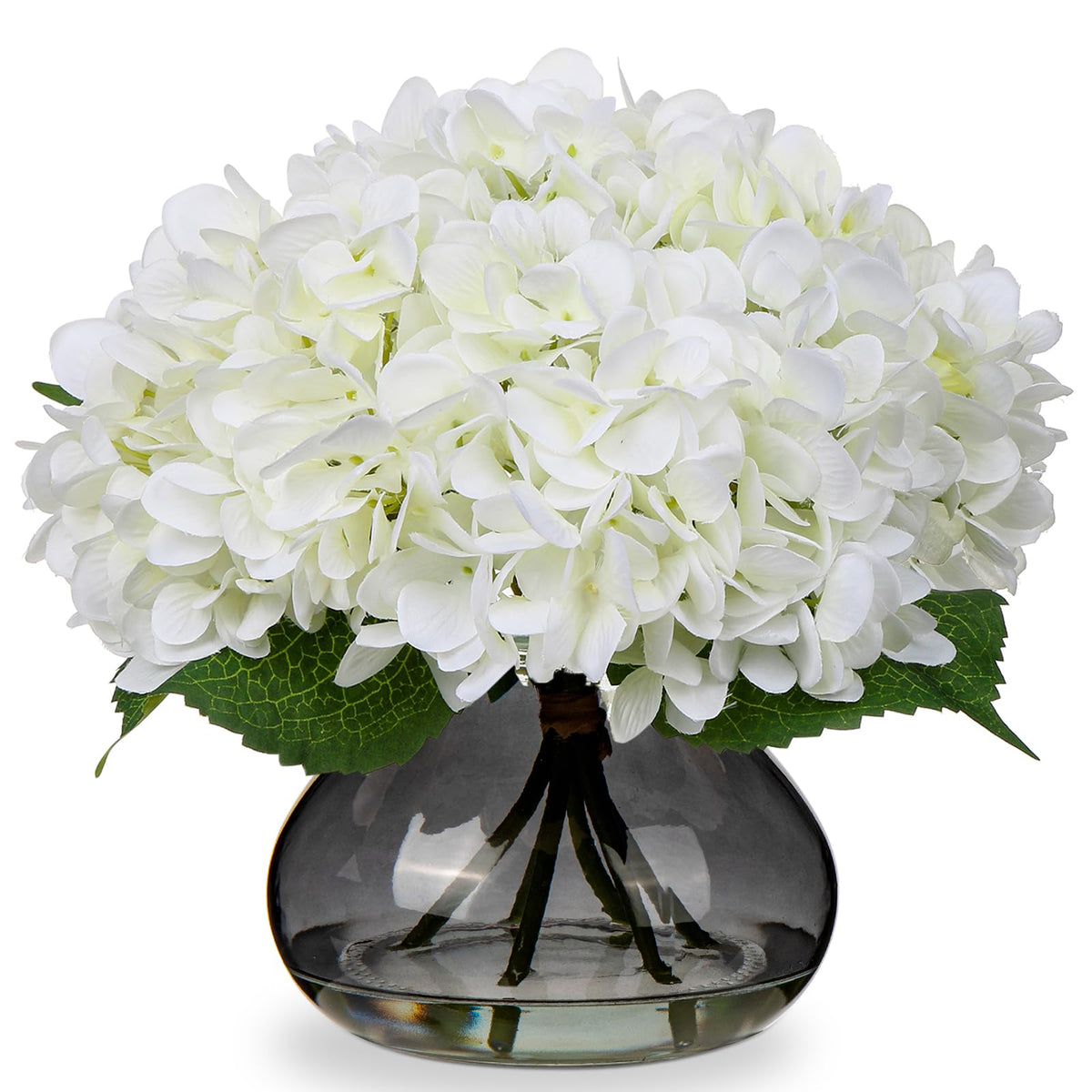 Hollyone hydrangea flowers in glass vase for elegant, maintenance-free home decor