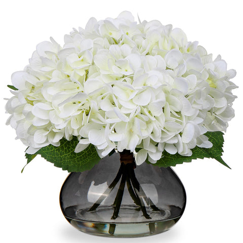 Hollyone hydrangea flowers in glass vase for elegant, maintenance-free home decor