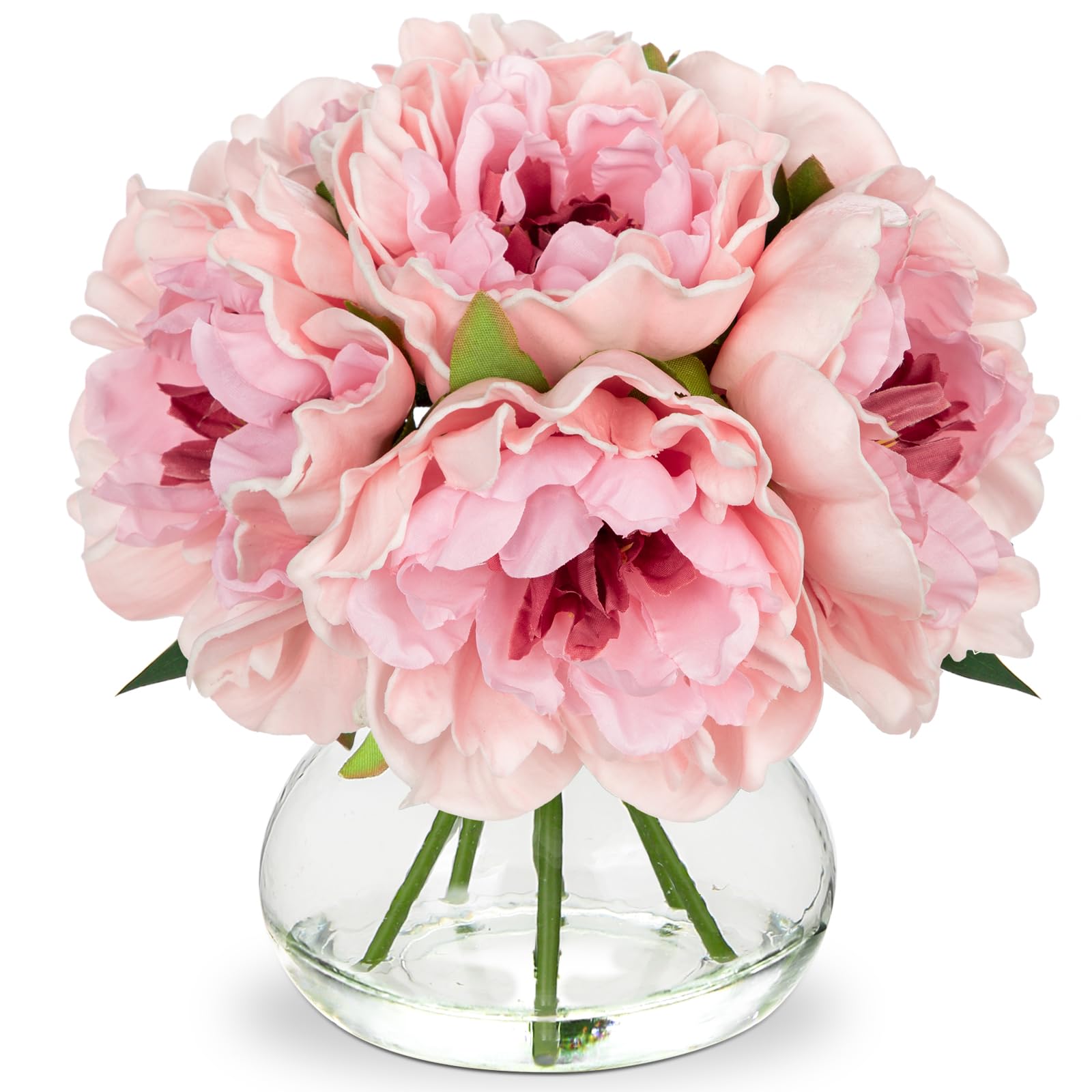 Hollyone light pink peonies with glass vase for timeless home decor.
