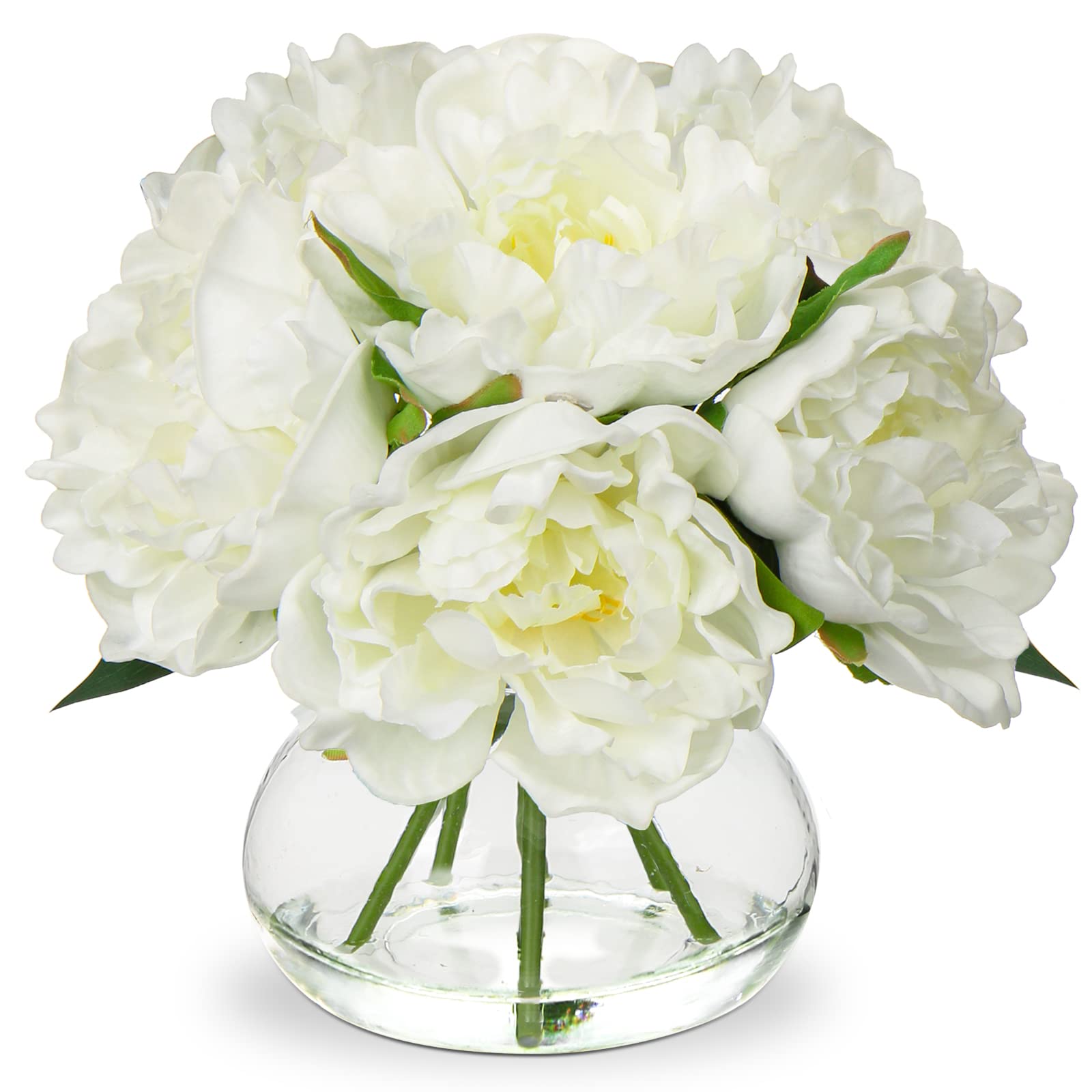 Hollyone white peonies in a glass vase for elegant home decor